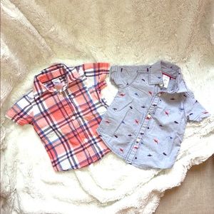 Carter’s 3 mo Polo shirts